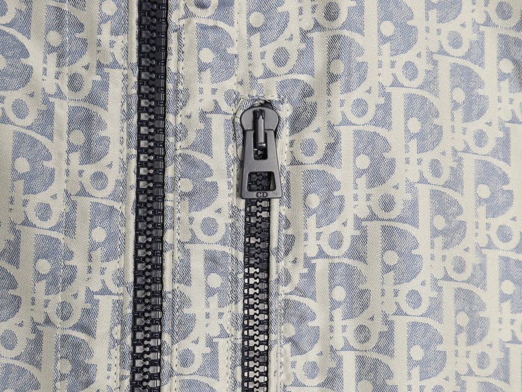 Dior Oblique CD Bee Embroidered Gray Zip-Collar Jacket
