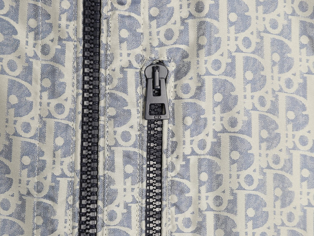 Dior Oblique CD Bee Embroidered Gray Zip-Collar Jacket