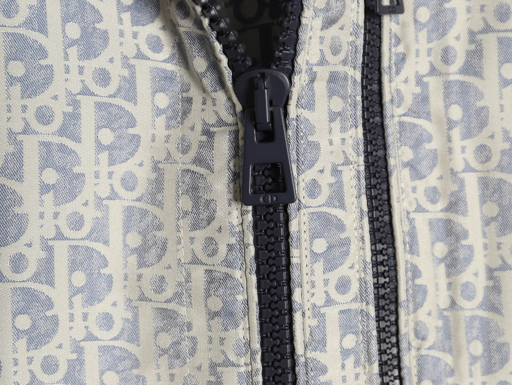 Dior Oblique CD Bee Embroidered Gray Zip-Collar Jacket