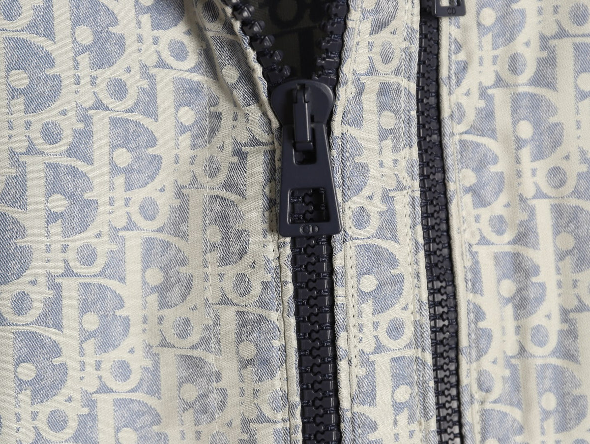 Dior Oblique CD Bee Embroidered Gray Zip-Collar Jacket